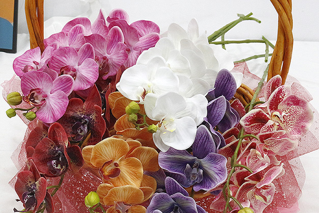 Artificial Plant for Healthcare-06.jpg